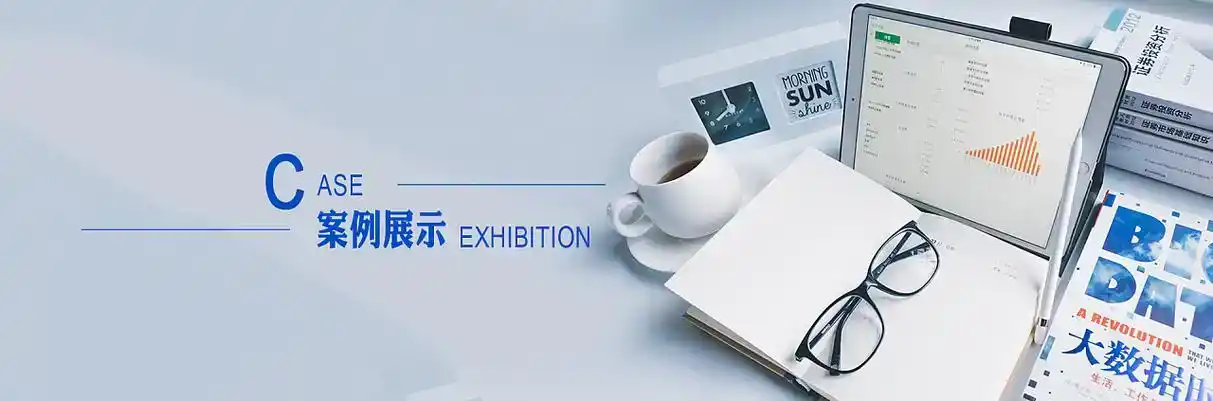 应城市软件开发